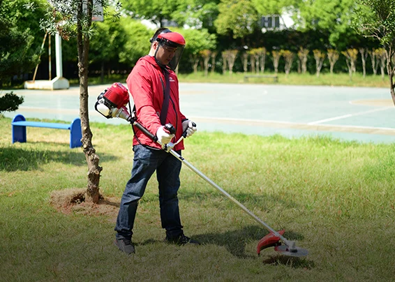 lawn maintenance